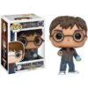 Funko POP! #32 Harry Potter - Harry Potter with Prophecy